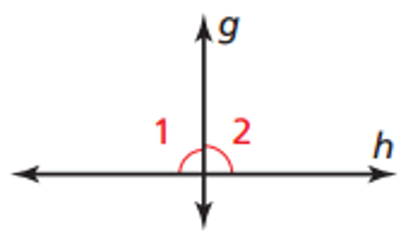<p>congruent adjacent</p>