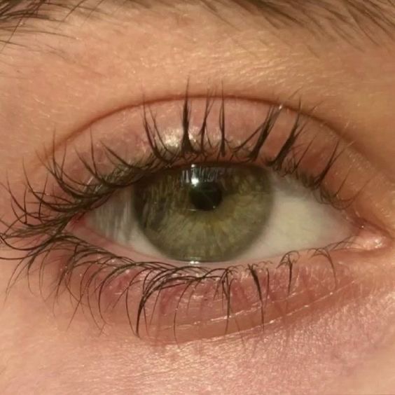 <p>Ojos </p>