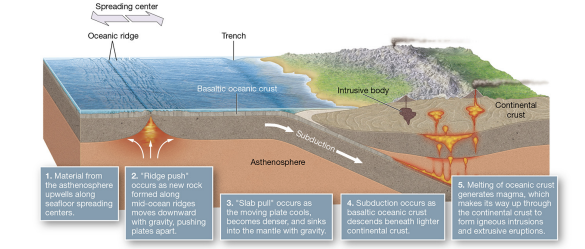 <p><strong>seafloor density contrast</strong></p>