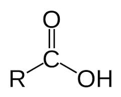 <p>It consists of a carbon atom double-bonded to an oxygen atom and single-bonded to a hydroxyl group (OH). It is acidic in nature and can donate a hydrogen ion. Commonly found in carboxylic acids and amino acids.</p>