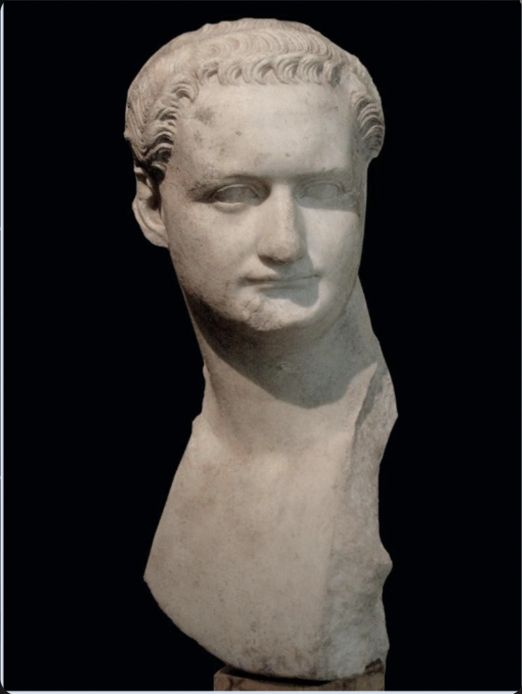 from Rome, he was assassinated, and ruled the ;ingest of all the Flavians and built a circus and a large palace. made of marble, and has thin lips.   