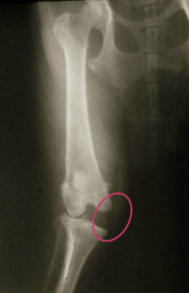 <p>what is shown here...</p>