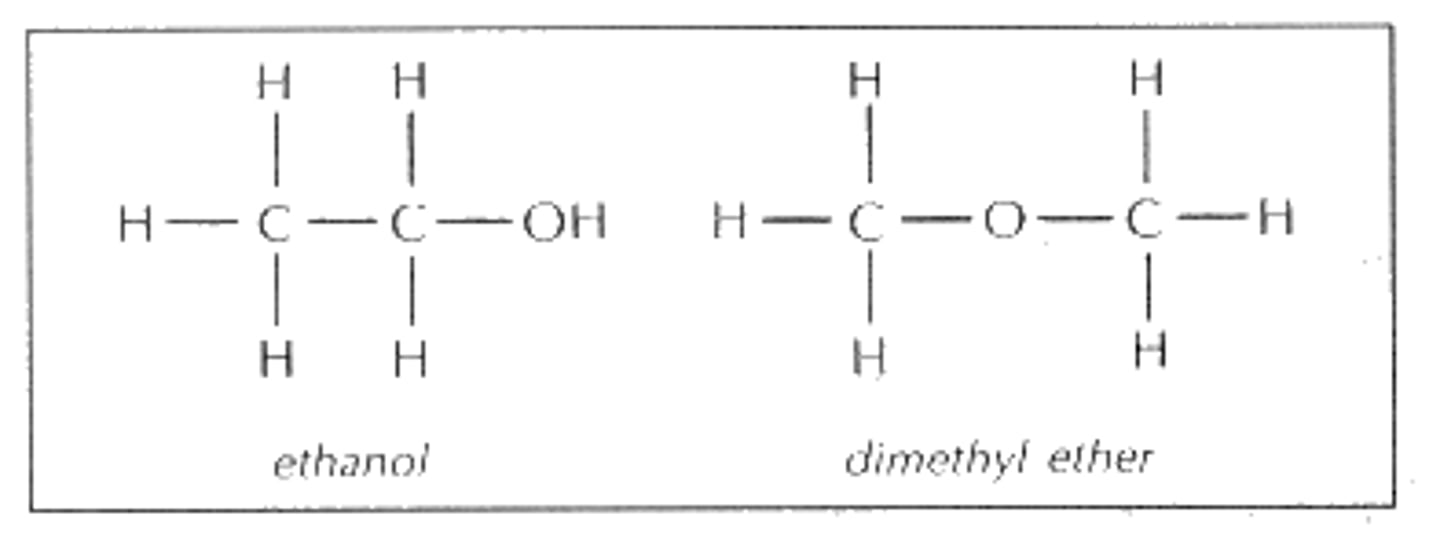 <p>compounds with the same molecular formula but different connections among their atoms</p>