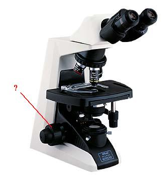 <p><span>Identify the indicated part of the microscope.</span></p>