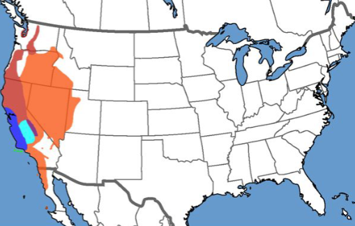 <p>Who’s range map?</p>