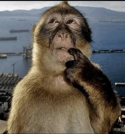 <p><span><span>How many Southern states voted for Lincoln?&nbsp;</span></span></p>