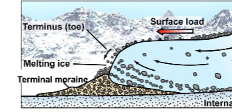 * Glacial depositional landform
* Till
  * Material transported by glaciers
* Moraine
  * Material (till) dumped at end of glacier