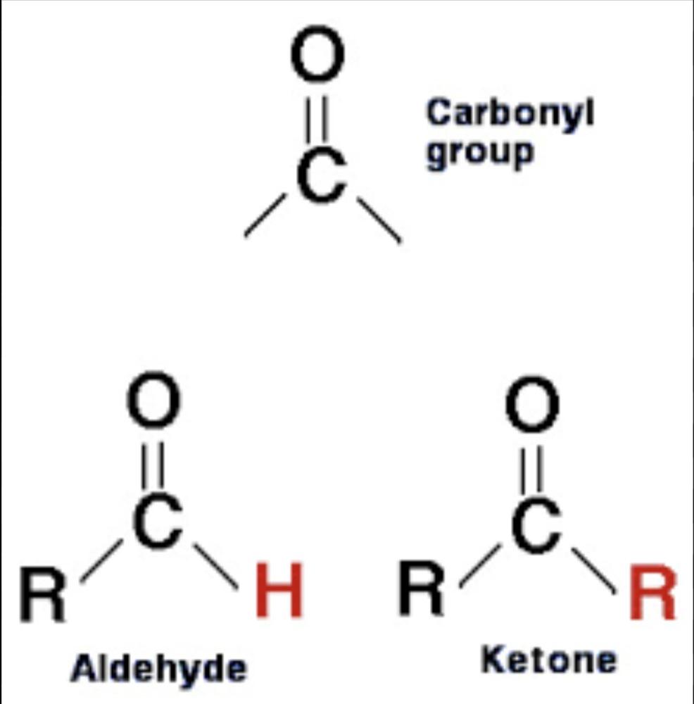 <p>Non-polar; found in sugars; </p><p>Keytones = found in the middle of a molecule Aldehyde = found on the ends of molecules</p>