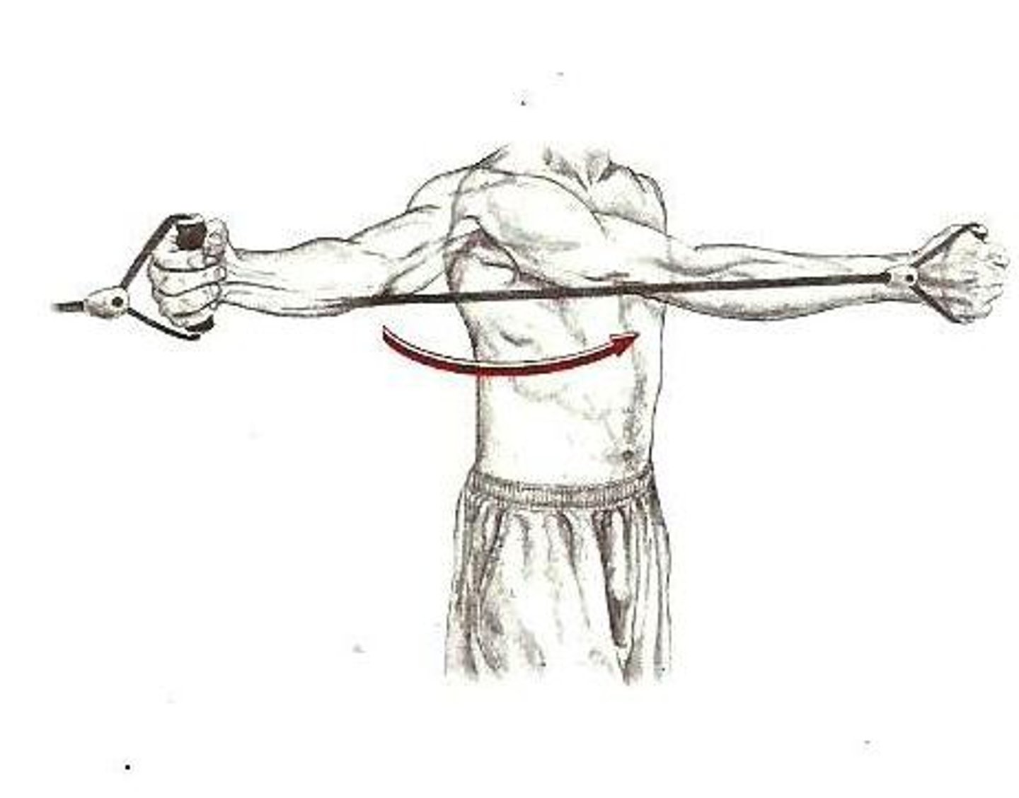 <p>move arm toward the midline in the transverse plane</p>