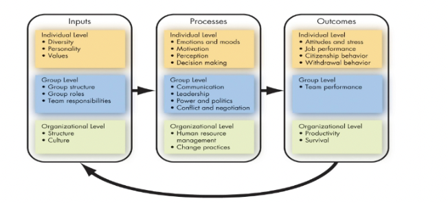 inputs -\> processes -\> outcomes


\** occurs on an individual, group, and organizational level
