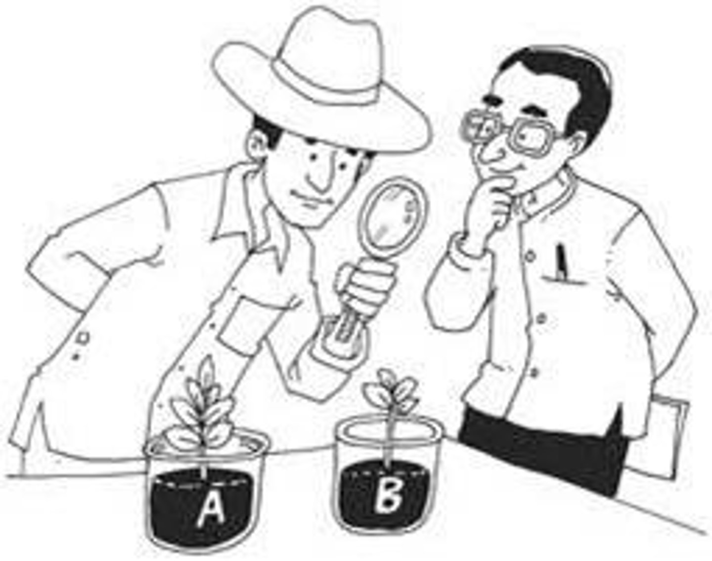 <p>investigation, research</p>