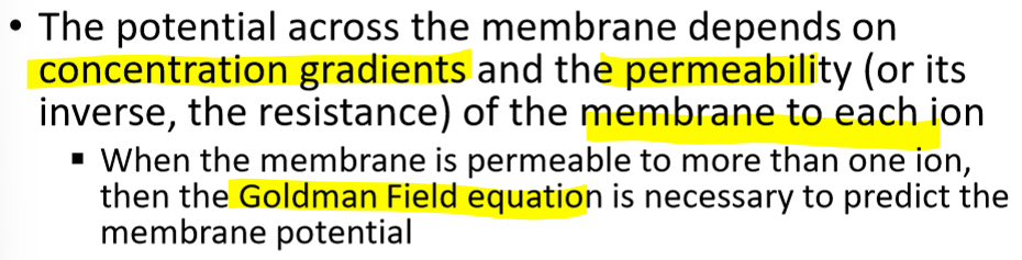 <ul><li><p>goldman field equation is updated nernst potential equation that incorporates otehr ions</p></li></ul><p></p>