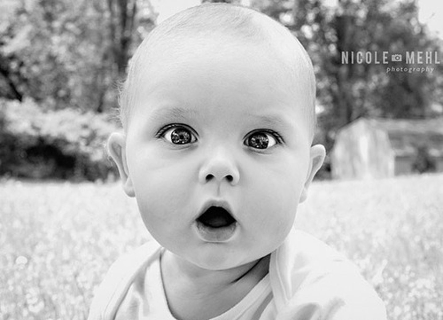 <p>very surprised</p>