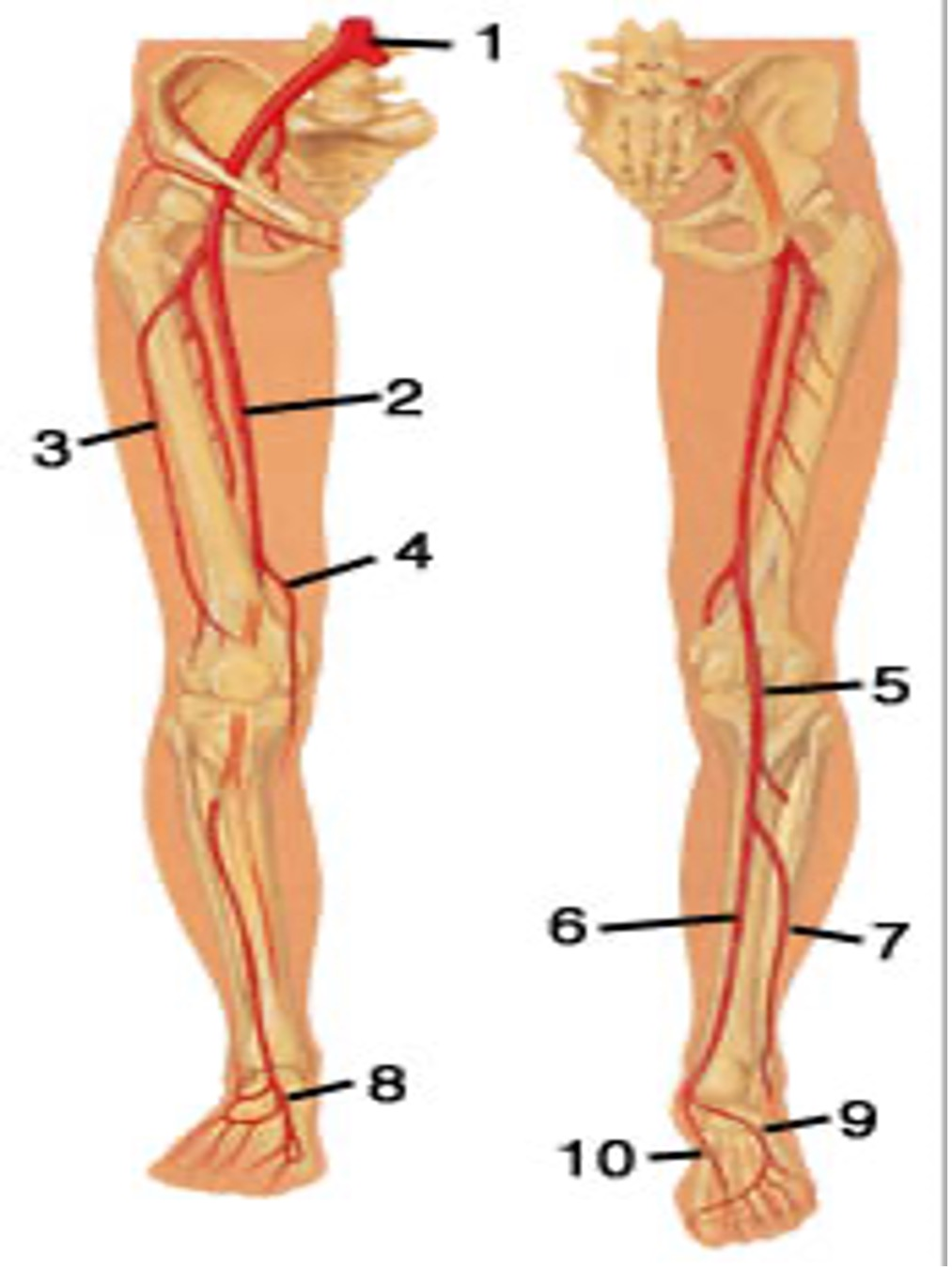 <p>7..</p><p>8..</p>