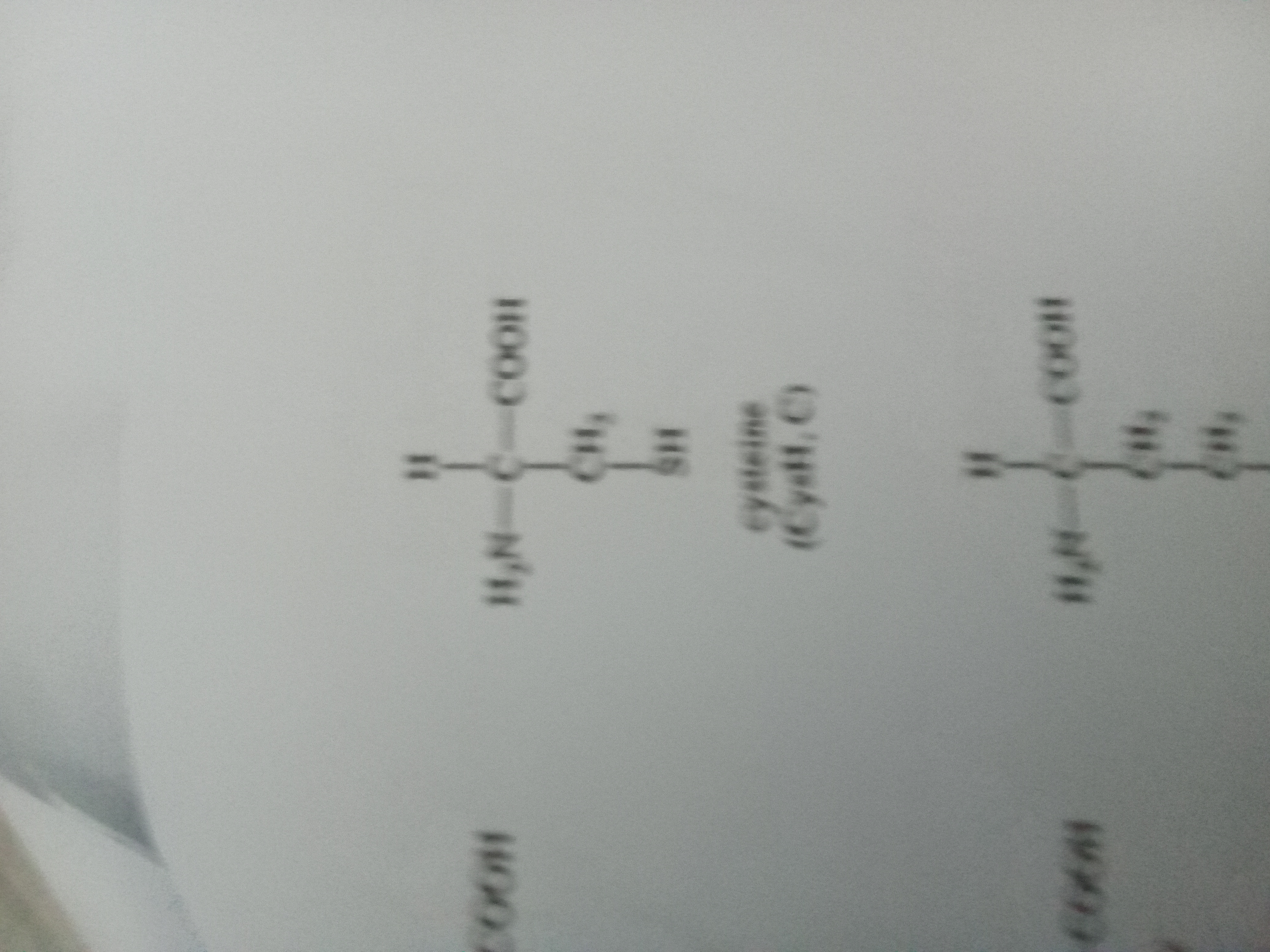<p>Cysteine </p>