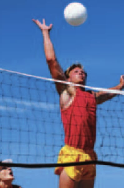 <p>to play volleyball</p>