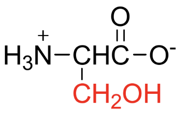 <p>Name, Type (A/N/B), Polarity</p>
