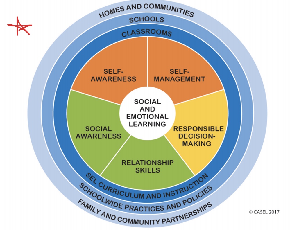 <p>What does this chart demonstrate regarding SEL?</p>