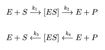 <ul><li><p>we are measuring the initial velocity, so the reaction is irreversible as we aren’t near equilibrium</p></li><li><p>the substrate is in excess of the enzyme</p></li><li><p>the reaction is at steady state, so [ES] stays constant</p></li></ul><p></p><ul><li><p>the model describes how the velocity, V, changes with the substrate concentration, [S], according to the equation <strong>V = V<sub>max</sub> x [S] / ([S] + K<sub>M</sub>)</strong>, where:</p><ul><li><p>K<sub>M</sub> = V<sub>max </sub>/ 2</p></li></ul></li></ul><p></p><ul><li><p>K<sub>M </sub>is used as a measure of the enzymes affinity for its substrate, where a low K<sub>M</sub> means the substrate is weakly bound</p></li></ul><p></p>