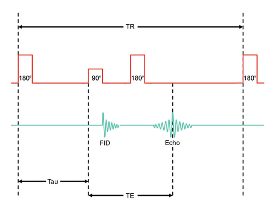 <p>What does this image show?</p>