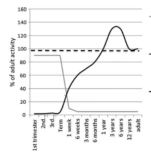 <ul><li><p>CYP3A7, FMO1, SULT 1A3</p></li><li><p>CYP 3A5, SULT 1A1, TPMT</p></li><li><p>CYP 2C9, 2C19, 2D6, 2E1, 3A4, FMO3, most UGTs</p></li></ul><p></p><p>Which lines represent each?</p><p></p>