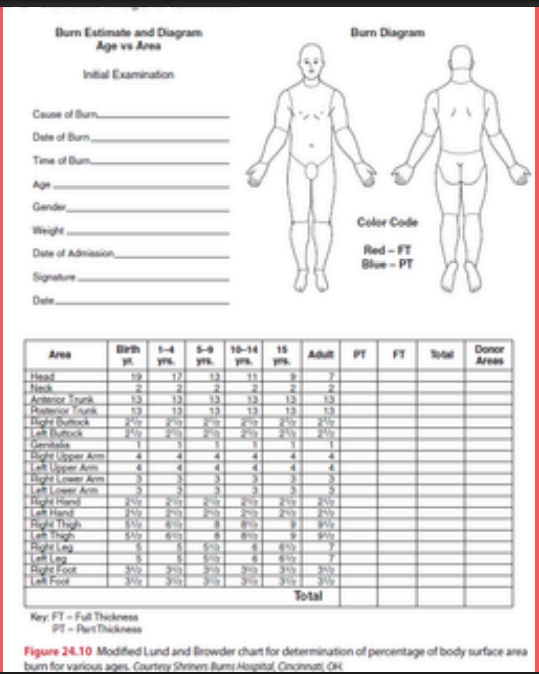 <p>Modified Lund and Browder Method</p>