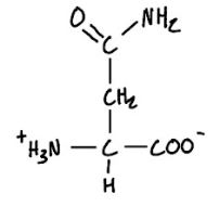 <p>3-Letter Abbreviation</p>