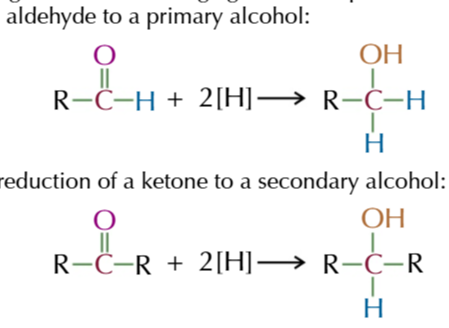 <p>which can convert aldehydes and ketones back into primary and secondary alcohols</p>