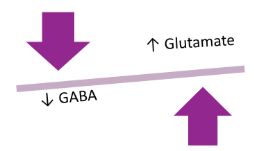 <ul><li><p><strong>INCREASE GABA (increase inhibition)</strong></p></li><li><p><strong>DECREASE GLUTAMATE (decrease excitation)</strong></p></li></ul><p></p>