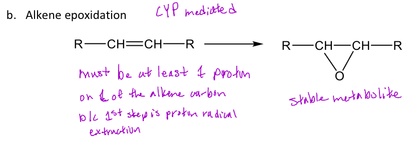 <p>A type of oxidative reaction in phase 1 metabolism reaction that <em>requires at least 1 Hydrogen on an alkene to form the epoxide</em> at the double bond and is <em>CYP mediated</em></p><p>-<em>The epoxide that's formed isn't an intermediate, but it acts as a stable active metabolite</em></p><p><em>-Doesn’t occur on aromatic rings</em></p><p>Ex. Carbamazepine (in image) forms an epoxide (phase 1) which is attacked by water to form a transdiol (inactive)</p>