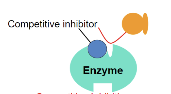 <p>what is shown in this image </p>
