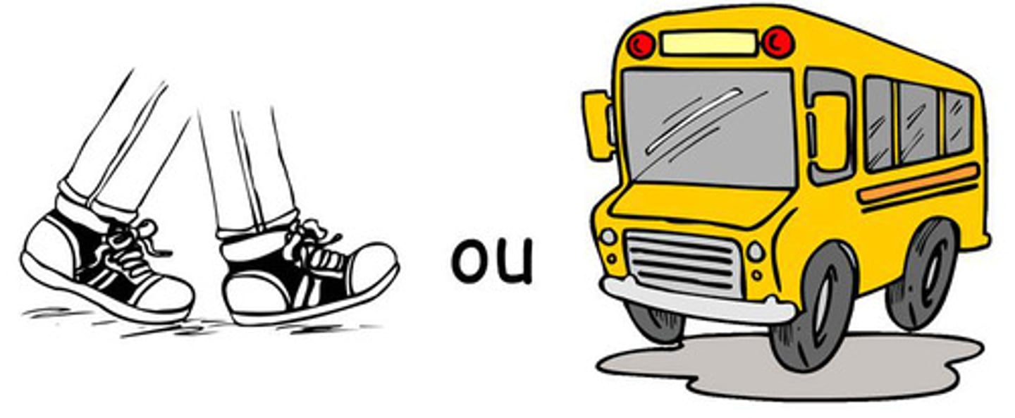 <p>(zěn me qù) how to go to the .......?</p>