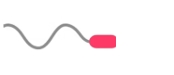 <p>Name and discuss the purpose of the region of sperm indicated by the arrow in the figure below</p>