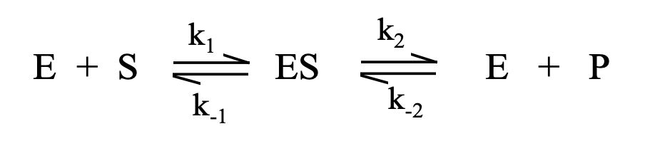 <p>Feltételezések:</p><ul><li><p>k<sub>-2</sub>=0 (második lépés irreverzibilis)</p></li><li><p>rapid ekvilibrium</p></li><li><p>egy aktív centrum, egy szubsztrát</p></li><li><p>aktivitás helyett koncentráció használható</p></li></ul><p></p>