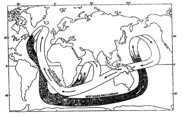 <p>This is a way to view the thermohaline circulation where there is sinking in the North Atlantic, spreading throughout the deep ocean (deep saline-rich current), rising, and returning to the surface of the North Atlantic ((less saline, shallow current)</p>