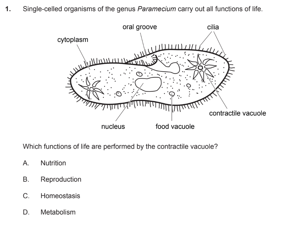 <p>C</p>