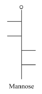 <p>hex- aldose</p><p>L, L, R, R</p>