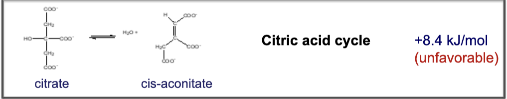 <p>Citric acid cycle: +8.4 kJ/mol</p>