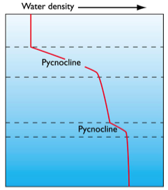 <p>Define a pycnocline</p>
