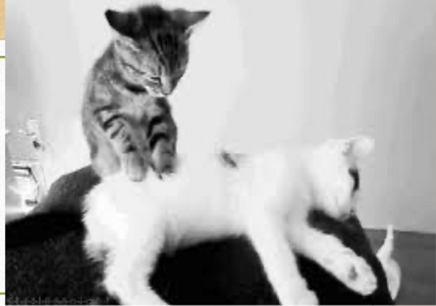 <p>function of massage</p>