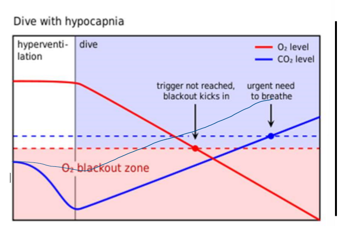 <ol start="5"><li><p>Explain this graph</p></li></ol><p></p>