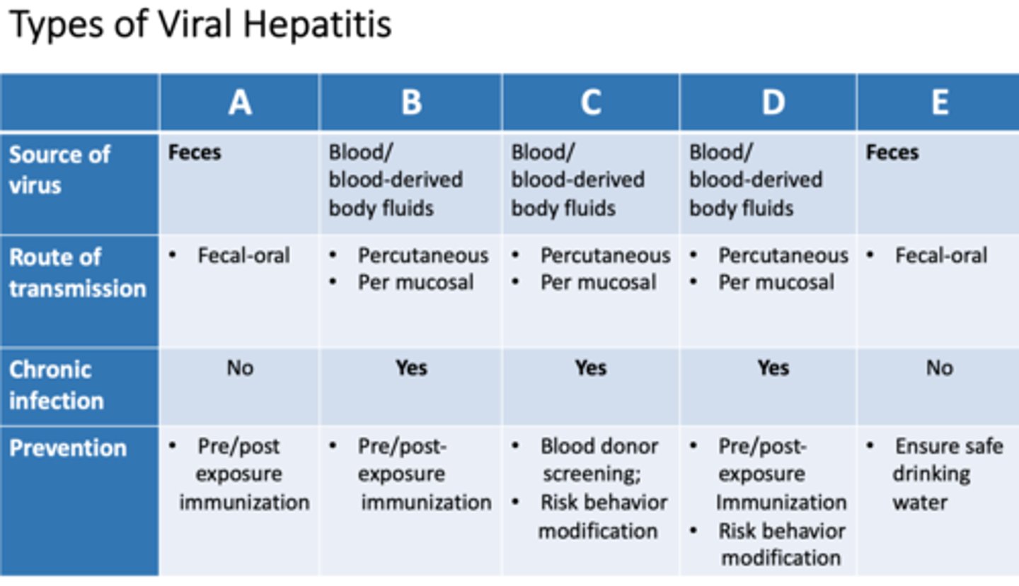 <p>1. direct cellular injury (virus uses cell as host)</p><p>2. induction of immune response against virus (collateral damage)</p>
