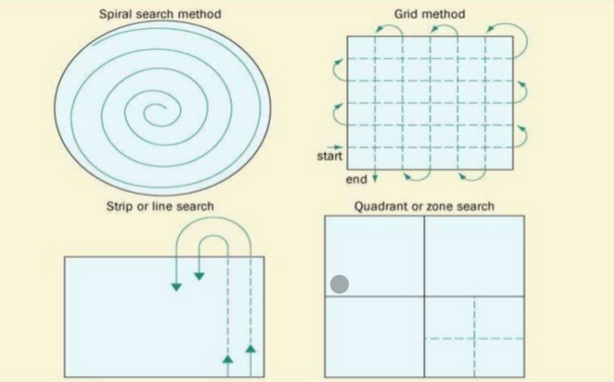 <p>Placards are placed by evidence as it is found. Investigators look for evidence in a systematic way.</p><p></p><p>Spiral search method, grid method, strip/line search, quadrant/zone search</p>