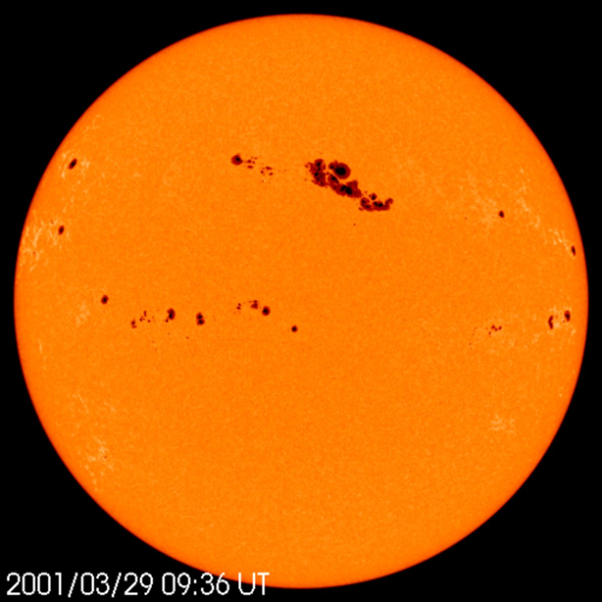 <p>dark spots on the sun that are cooler than the gasses around them</p>
