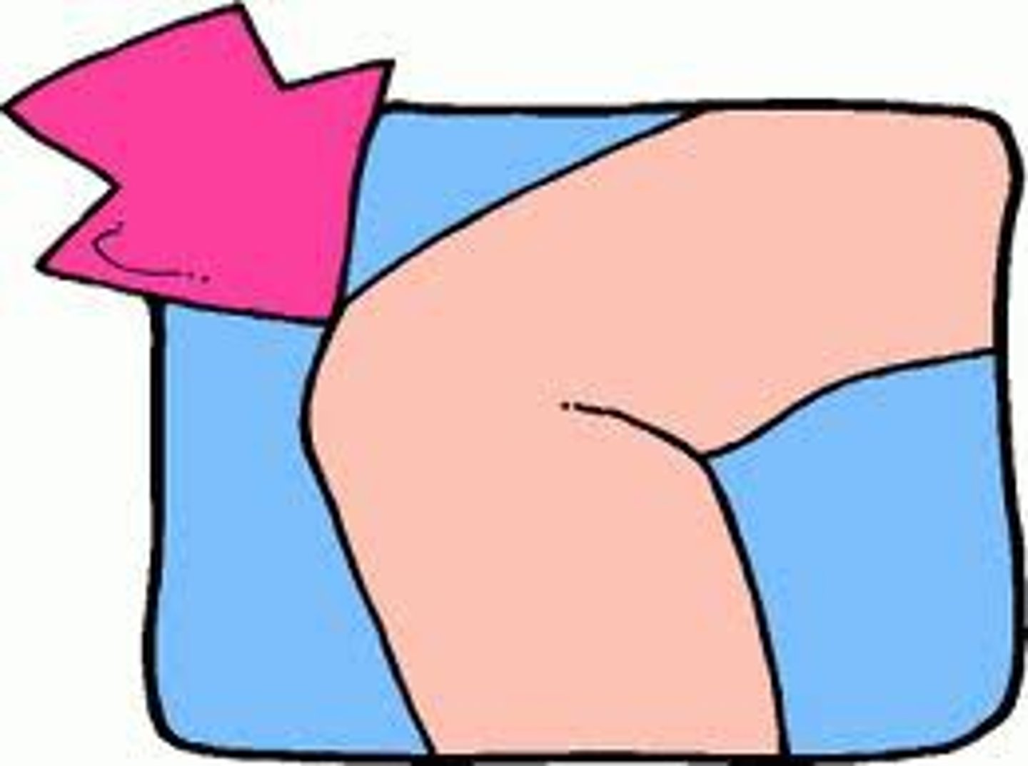<p>the middle joint of the leg that allows the leg to bend:</p>