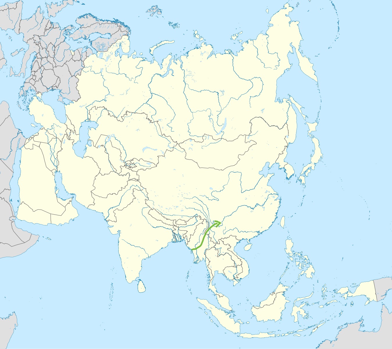 term image