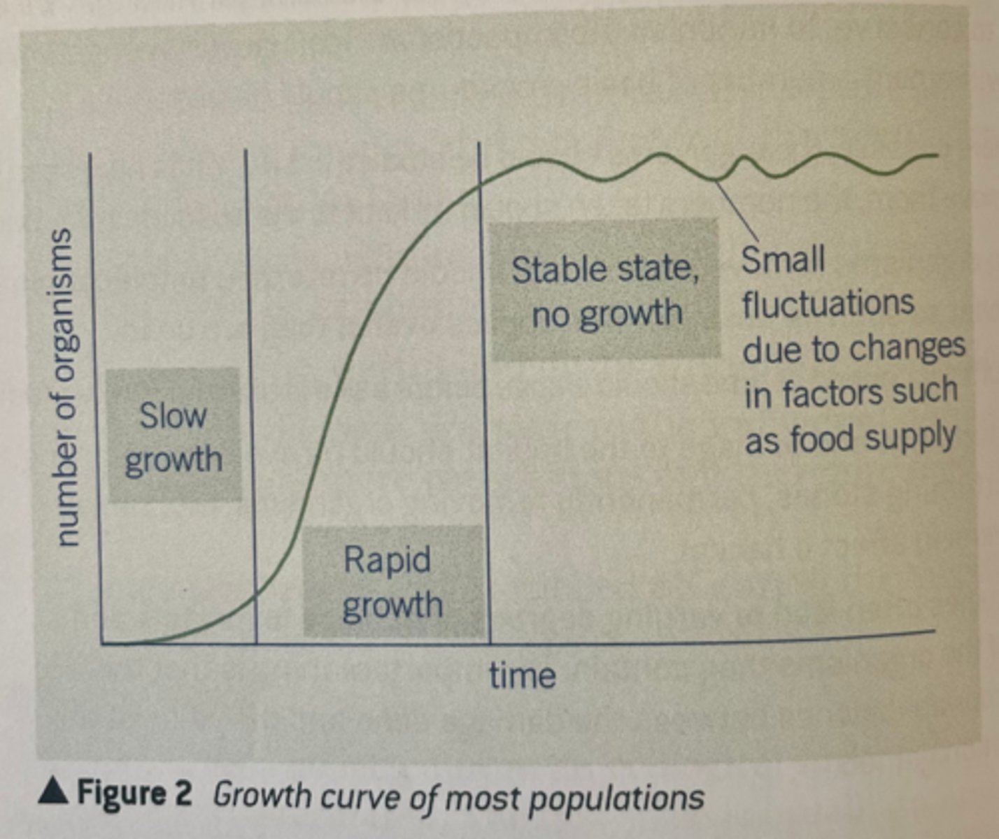 <p>- Period of slow growth as initial number of individuals reproduce too slowly to build up their numbers<br><br>- Period of rapid growth where the ever-increasing number of individuals continue to reproduce. The population size doubles during each interval of time, as seen by the gradient of the curve (steep)<br><br>- Period where population growth declines until size remains more or less stable. Decline may be due to limiting food supply, or increased predation. Graph levels out with only cyclic fluctuations due to variations in biotic factors.</p>