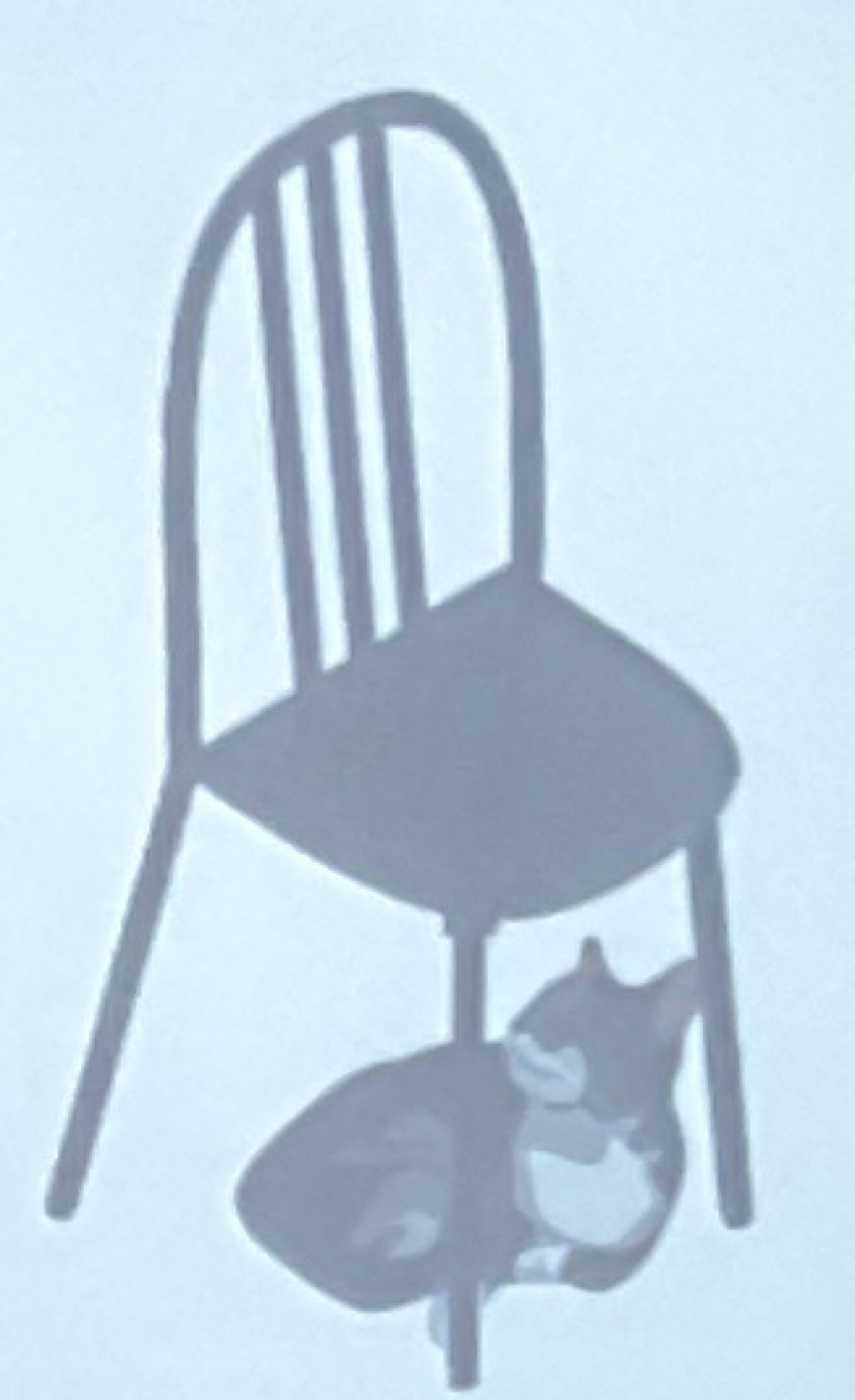 <ul><li><p><strong>Imagistic</strong>: stores the sensory experience</p><ul><li><p>visual representation in your mind: (image)</p></li></ul></li><li><p><strong>Propositional</strong>: stores the abstract relation</p><ul><li><p>“the cat was under the chair”</p></li></ul></li></ul><p></p>