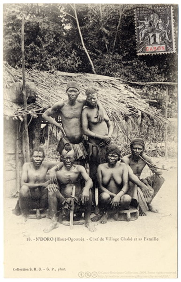 <p>A European tendency, especially</p><p>in African colonies, to identify and sometimes</p><p>invent distinct "tribes" that had often not existed</p><p>before, reinforcing European notions that African</p><p>societies were primitive.</p>