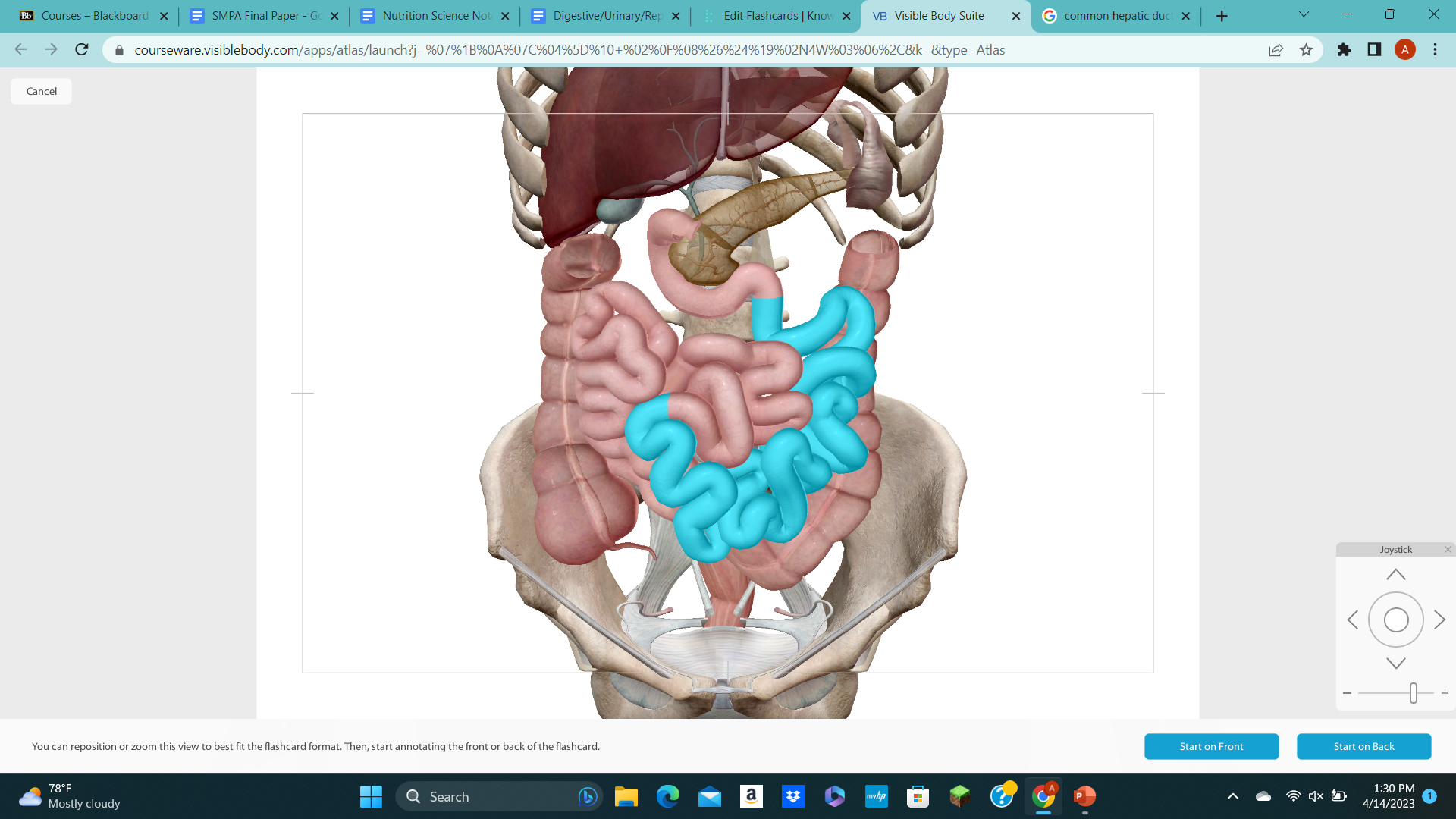 knowt flashcard image